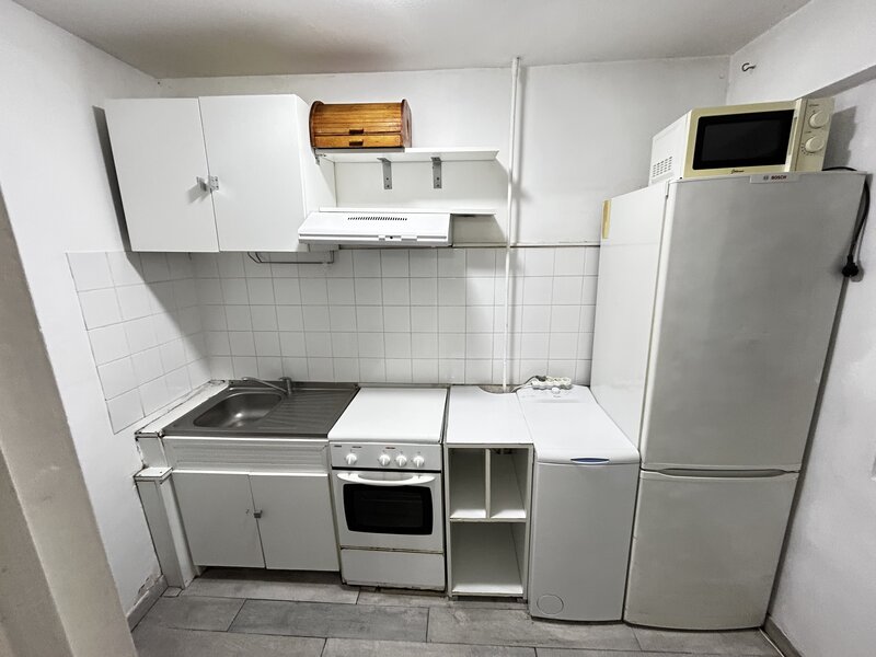 Colentina, Lacul Tei, Teiul Doamnei, Doamna Ghica,